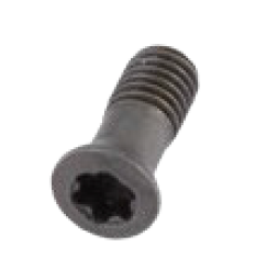 Insert Screw (Radius)